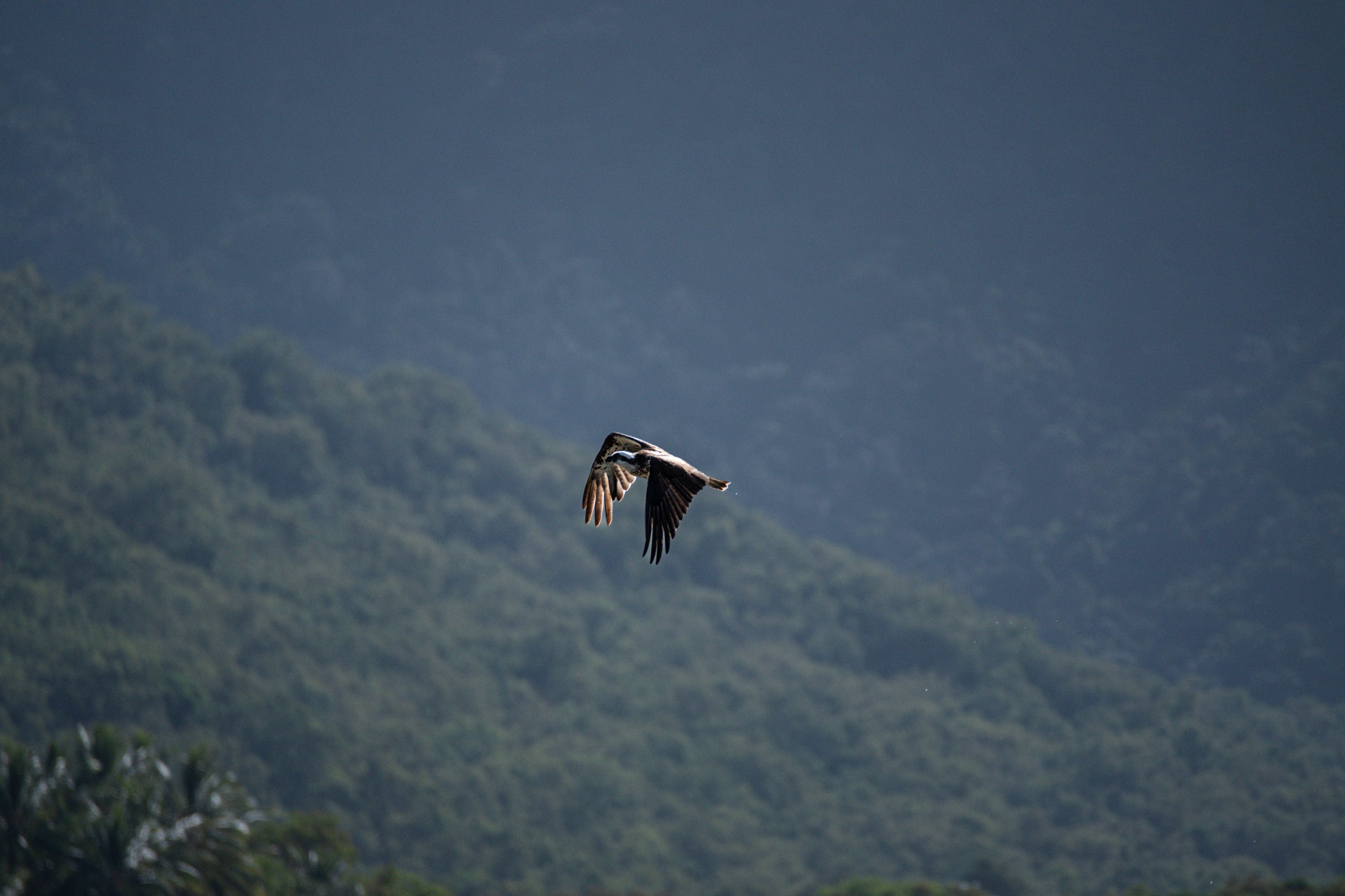 Contact Us Image